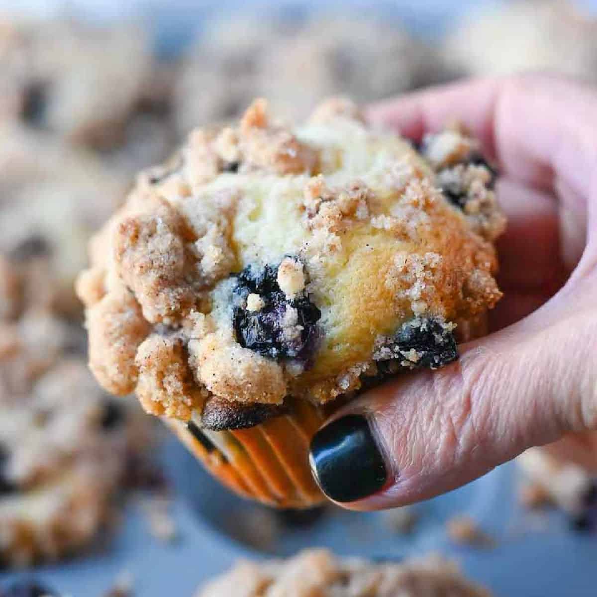 Blueberry Muffins